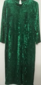 Adult Female Costumes to Hire - Green Velour Dress - 42